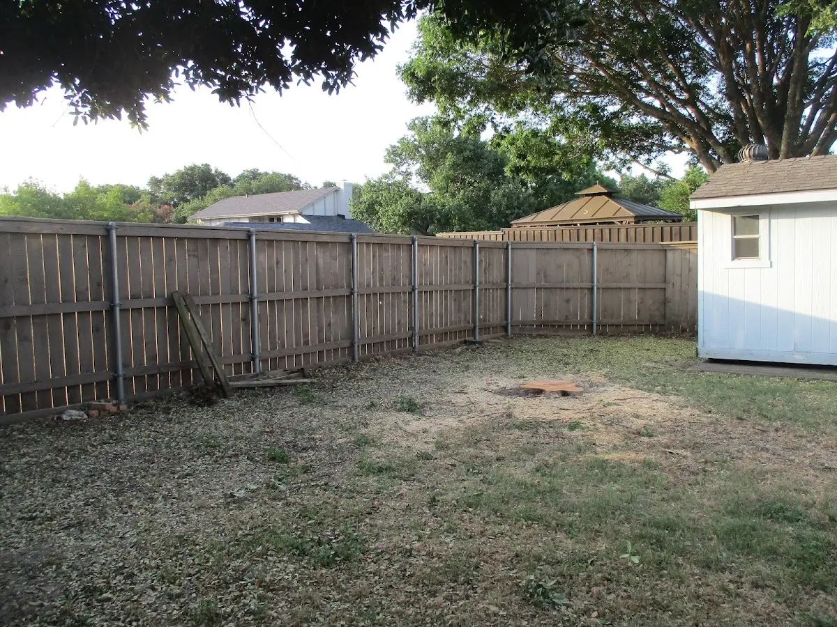 Cleared yard after professional tree removal in Pima